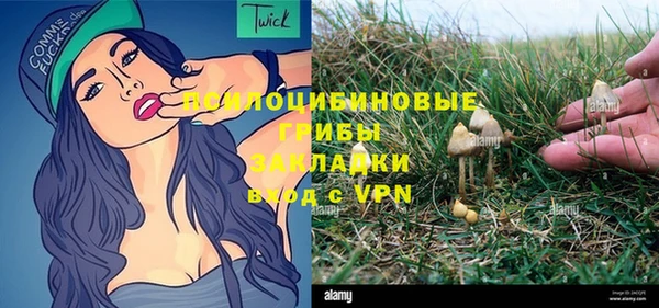 амф Абдулино