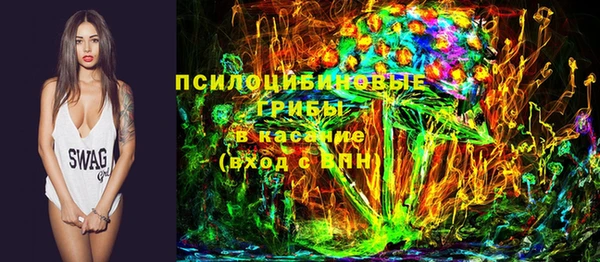 гашик Абаза